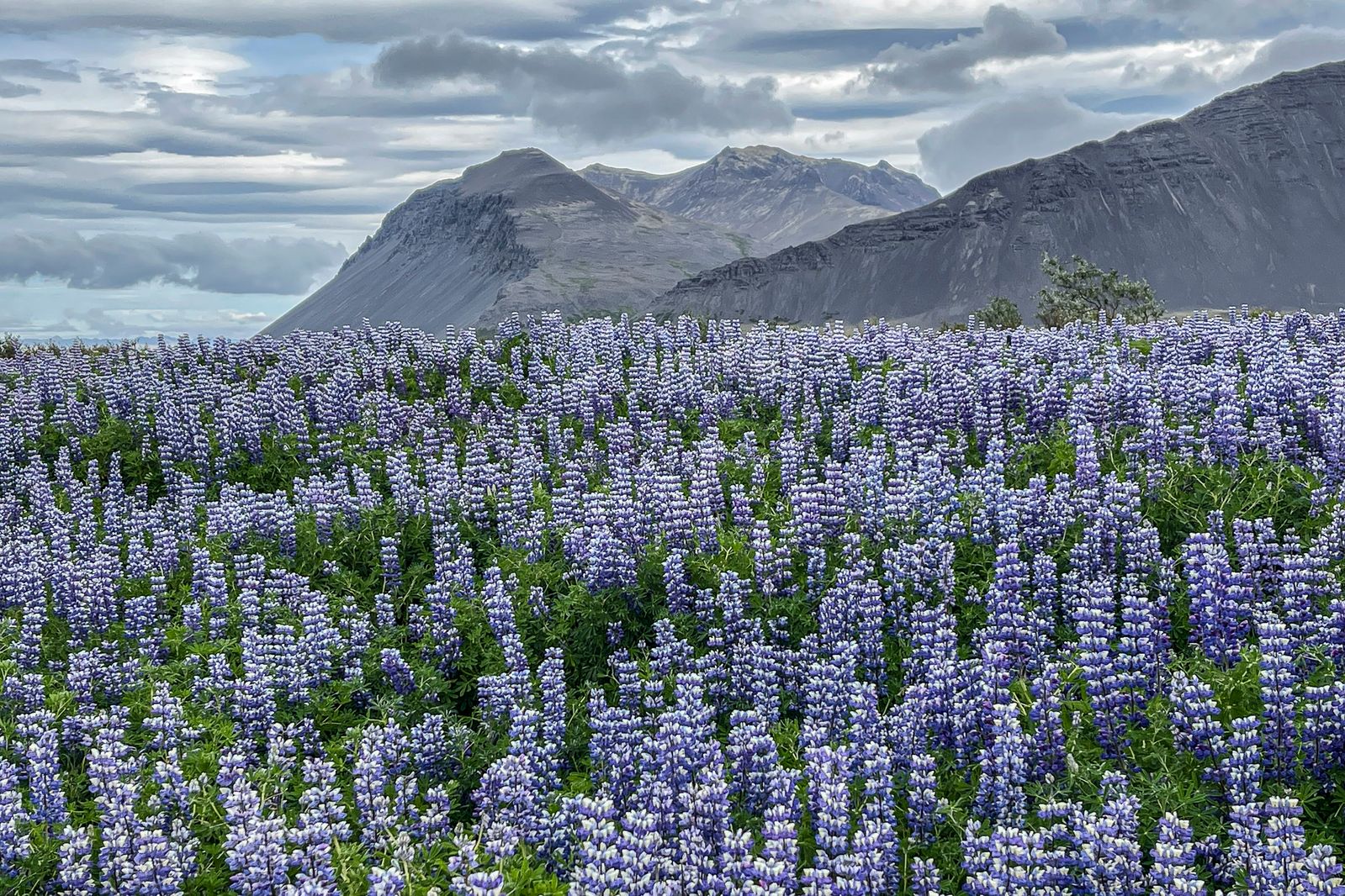 Snæfellsnes